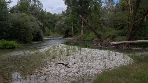 Static scene of a river flowing in a forest Stock Footage 314291463