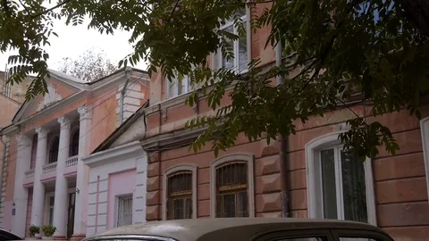 Static shoot of old beautiful building with green leaves on the wind Stock Footage 77313968