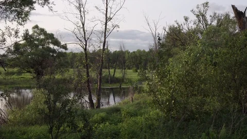 Static shooting from the shore. Stock Footage 113658750