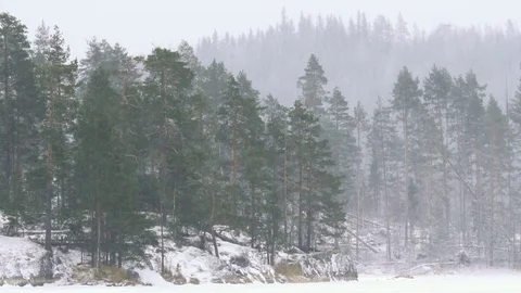 Static shooting of winter landscape of lakeshore with forest and rocks during Stock Footage 79619748