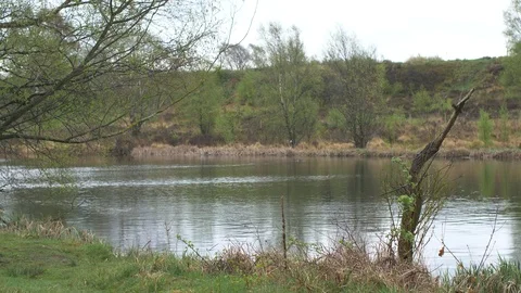 Static Shot Across a Windswept Lake Stock Footage 88999021