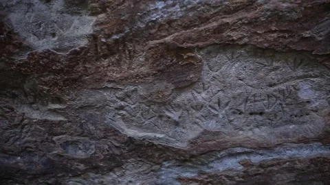 Static shot of Ancient Petroglyphs at Serra Branca Site, Serra da Capivara Stock Footage 321907475