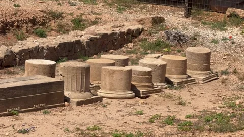 Static shot of ancient ruins showing stone column bases on the ground Stock Footage 337370130