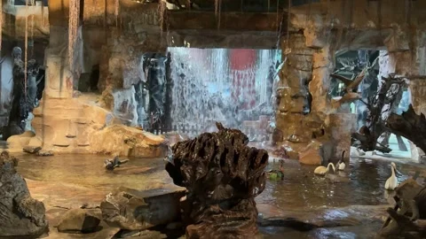 Static Shot of Artificial Indoor Waterfall and Cave in Hainan Stock Footage 331110168