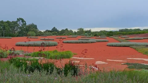 Static shot of Australian native garden with red earth and plant patterns Stock Footage 314887179