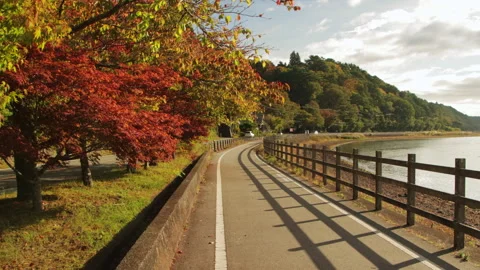 Static shot of an autumn lakeside path with foliage in Yamanakako, Japan Stock Footage 321129113