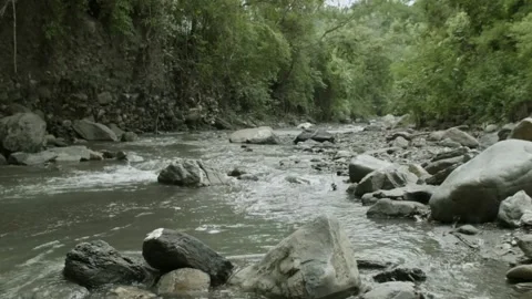 Static shot of beautiful small creek with rocks in forest in Colombia Stock Footage 153810877