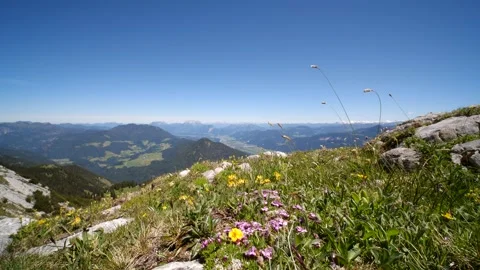 Static shot of beautiful Tyrolean landscape in Austria Stock Footage 145810152