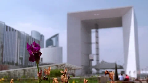 Static shot of blooming flower at La Defense in Paris Stock Footage 113602630