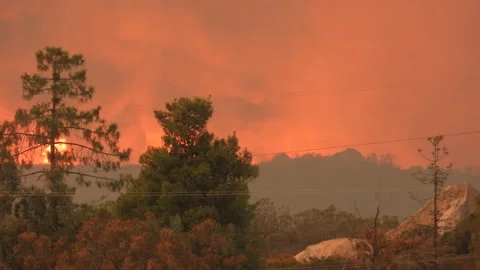 Static shot of breaking out of extreme fire tornado and wind pushing the Stock Footage 220006355