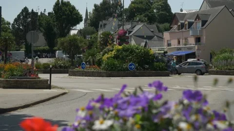 Static shot, bright sunny day, colorful flower roundabout, cherry festival Stock-Footage 342023181