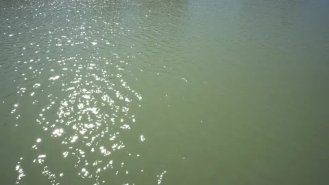 Static shot of calm water with reflections of sunlight Stock Footage 151483170