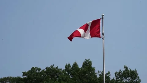 Static shot of Canada flag flying in the wind Video stock 244738509