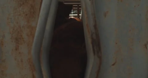 Static Shot of Cattle Looking Through Metal Livestock Trailer Gate Gap During Stock Footage 346004805