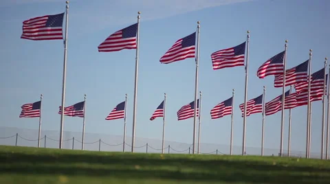 A static shot of a circle of flags waving in the wind in Washington DC. Stock Footage 50524352