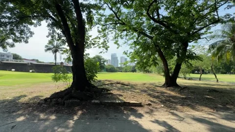 Static shot of city skyline framed by two trees at Intramuros golf course 4K Vídeos de archivo 337458688