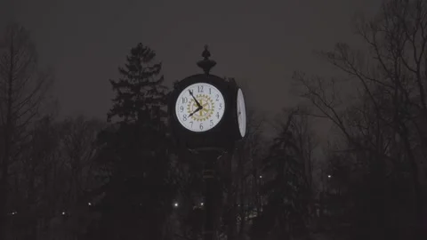 Static Shot Of A Clock Tower With Trees In The Background In Niagara Falls Stock Footage 247452893