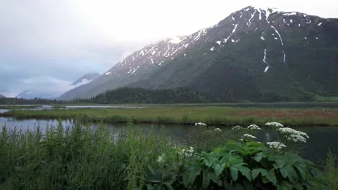 Static Shot of Cloudy Mountain in Alaska Video stock 217831241