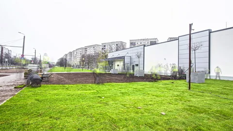 Static shot of consturction workers installing new grass by unrolling sod Video stock 196001438