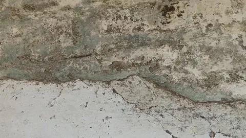 Static Shot of Cracked and Moldy Old Concrete Wall Texture Видео 346152485
