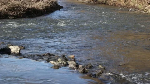 Static shot of crystal clear water flowing between stones in a stream Stock Footage 220022180
