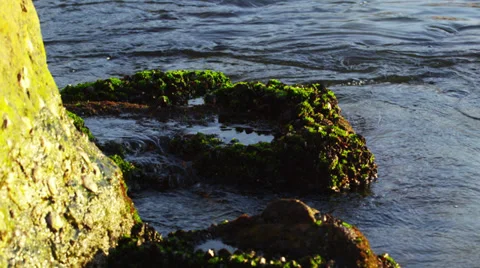 Static shot of dark water rolling over rough boulders. Stock Footage 37187562