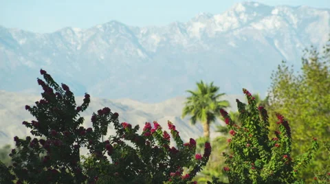 Static Shot of a Desert Mountain with Shrubbery Stock Footage 66519661