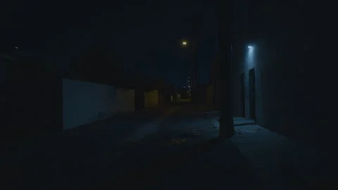 Static shot of dimly lit night alley at the edge of the town. Dark narrow street 스톡 동영상 286255734