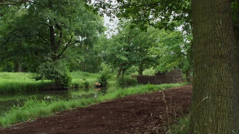 Static shot of dirt footpath alongside a stream in a forest, Czech Republic Stock Footage 202891901