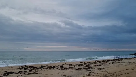 Static shot of dramatic cloudy seascape with gentle ocean waves Stock Footage 320253694