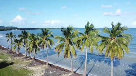 Static Shot of an Empty Beach in the Caribbean Stock Footage 273835517