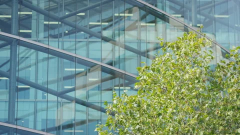 Static shot of external view of modern office building Vídeos de archivo 142796193