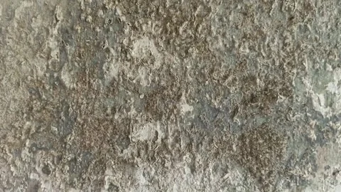 Static Shot of Extreme Rough and Weathered Mossy Cement Wall Texture Видео 346152462