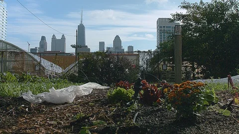 Static shot of a farm in Chicago Stock Footage 86009846
