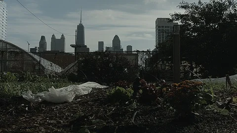 Static shot of a farm in Chicago Stock Footage 86009940