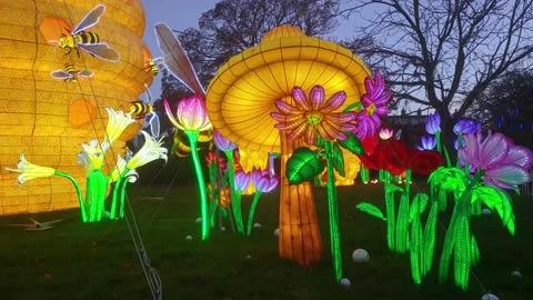 A static shot of flower and bee Chinese lanterns at the Wild Lights event Video stock 231236537