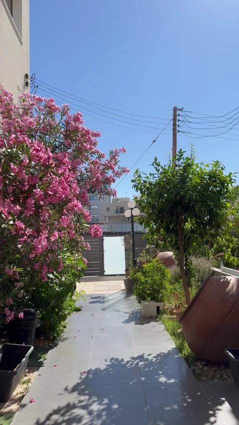 Static shot of a glass door entry and vibrant pink flowers on a garden pathway Stock Footage 336278321