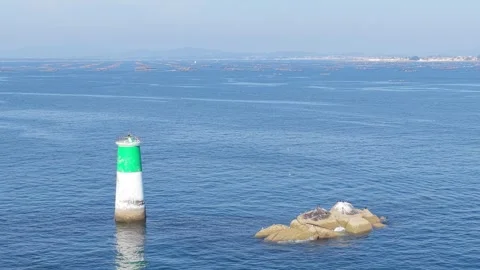 A static shot of a green and white maritime beacon standing in the calm blue Stock Footage 346692023