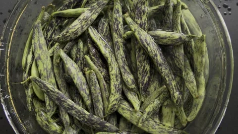 Static shot of green bean pods in water glass bowl macro, 4K Stock Footage 341810935