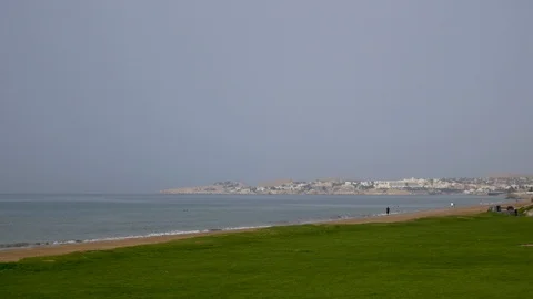 Static shot of a green patch of grass along a beach off the coast of Oman Stock Footage 89164416