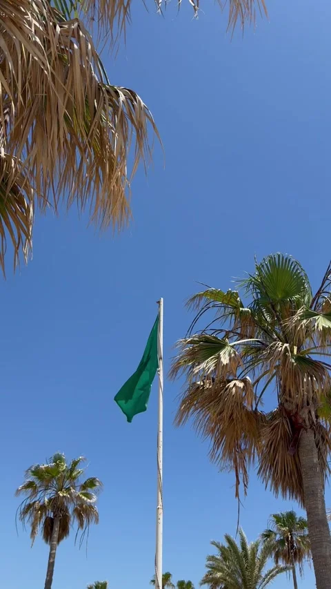 Static shot of a green safety flag waving on a windy beach near palm trees Stock Footage 336320419