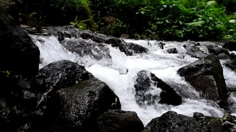 Static shot of a gurgling river with clear water and black rocks. Stock Footage 301517101