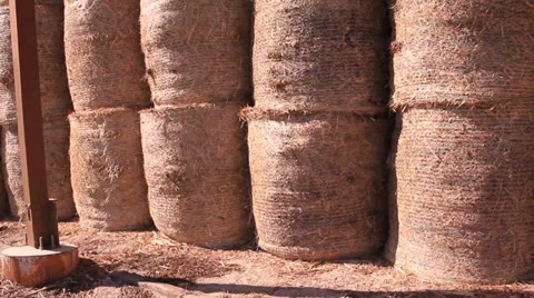 Static shot of hay bales Stock Footage 39566654