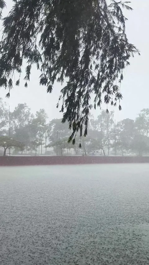 Static shot of heavy monsoon rain falling on a pond water surface with gree.. Video stock 336919892