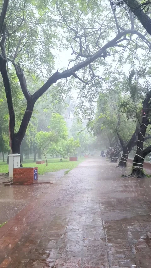 Static shot of heavy monsoon rain falling on an empty brick walkway inside .. Video stock 336919909