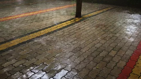 Static Shot of Heavy Rain Falling on Wet Brick Pavement During Monsoon Video stock 342590269