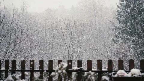 Static shot of a heavy snowfall. Stock Footage 218383909
