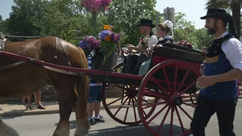 Static shot of horse-drawn carriage at cherry festival parade with spectators Stock Footage 342019931