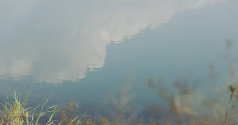 Static Shot Inverted City Skyline Reflection on Water Minimalist Zen Solitude Stock Footage 337280922