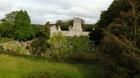 A static shot of Irish ruins. Stock Footage 163451230
